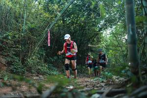 BIB: 
                            <button type="button" onclick="openModal(28025168)" class="btn btn-primary btn-sm float-right btn-popup" data-toggle="modal" data-target=".modal-high-quality">
                        <i class="fas fa-shopping-cart"></i> Add to Cart
                    </button>
                                            <button type="button" onclick="isThisMe(28025168, true)" class="btn btn-success btn-sm float-right btn-popup btn-isme hidden" data-toggle="tooltip" data-placement="bottom" title="นี่คือรูปของคุณใช่ไหม คลิกที่นี่เพื่อเอาเข้าอัลบั้ม">
                        <i class="fas fa-plus"></i> Add to album
                    </button>
                    <button type="button" onclick="isThisMe(28025168, false)" class="btn btn-warning btn-sm float-right btn-popup btn-isnotme hidden">
                        <i class="fas fa-ban"></i> Remove from album
                    </button>